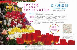 スプリング2018チューリップ