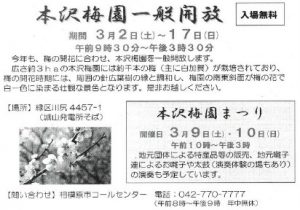 20190307222812