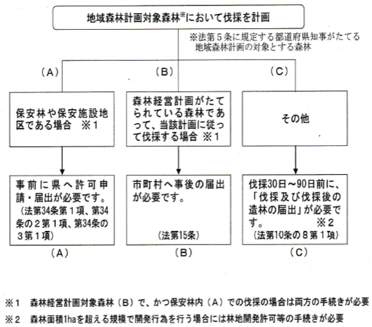 伐採の手続き