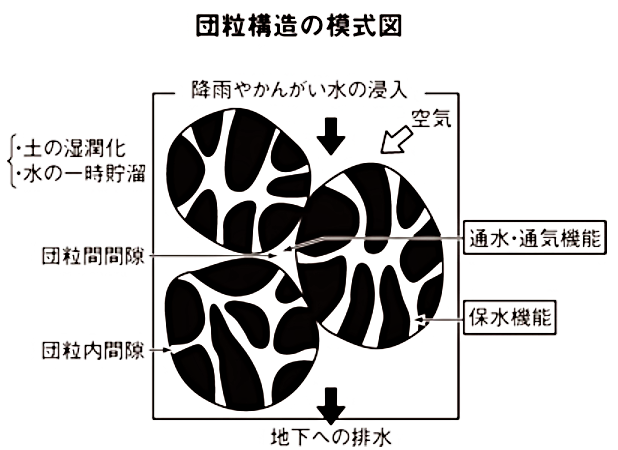 団粒構造