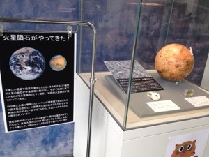 火星隕石展示中 | 相模原市立博物館の職員ブログ