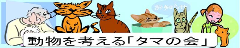 動物を考える「タマの会」