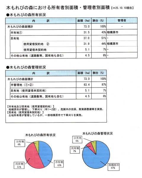 木もれびの森所有・管理状況