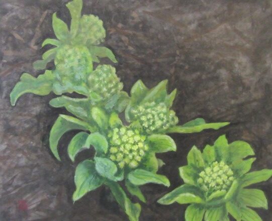 春とみどり 当選、複製原画 会員作品 | みどり会（絵画）