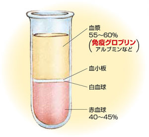 免疫グロブリン