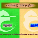 さがみ水墨・日本画協会HPトップページ