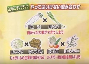 一緒に植えてはいけない組み合わせ野菜