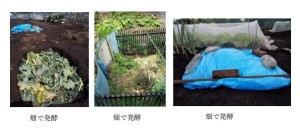 堆肥化の例2