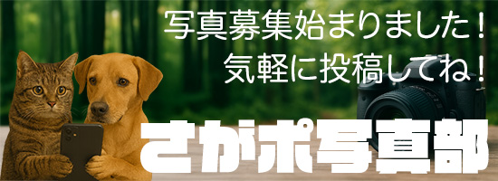 さがポ写真部