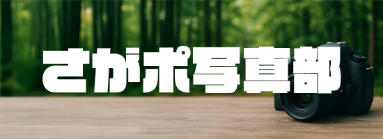 さがポ写真部
