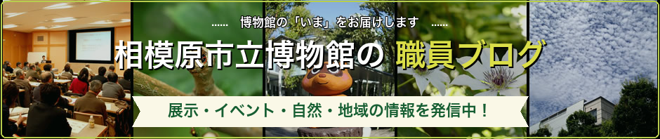 相模原市立博物館の職員ブログ
